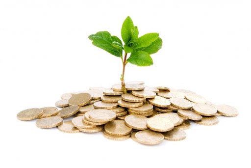 coins and a plant sprouting out from them