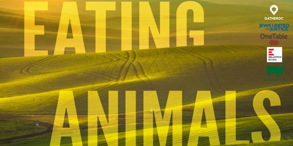 film flyer for eating animals