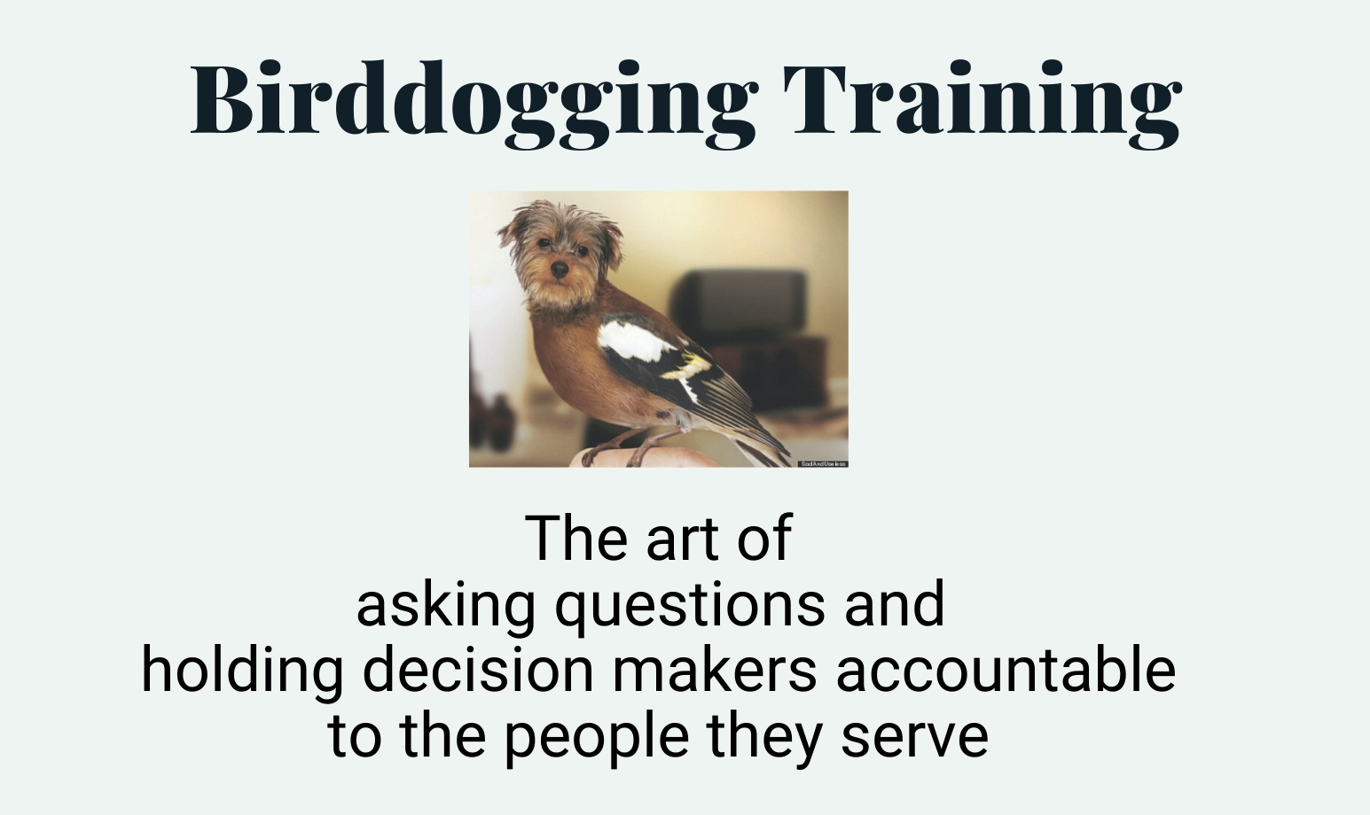 birddogiging training with a photoshopped image of a bird with a dog's head. "the art of asking questions and holding decision makers accountable to the people they serve"