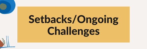 Setbacks/Ongoing Challenges graphic