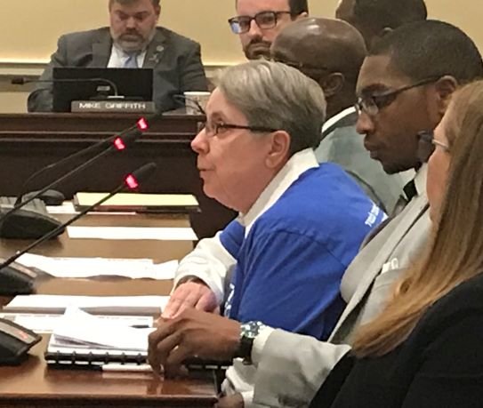 Carol Stern testifying in Annapolis pre-COVID