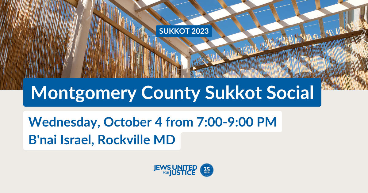 A blue sky seen through the roof of a sukkah